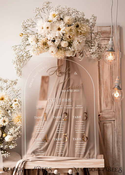 TABLE PLANS AND WEDDING WELCOME SIGNS plexi gold / velvet Elegant frozen wedding Set acrylic Find your seat , Personalized Wedding Beige Table Plan, acrylic frozen Tan transparent and Gold Modern frozen transparent Seating Chart, 3d Elegant Find Your Seat - Seating Plan