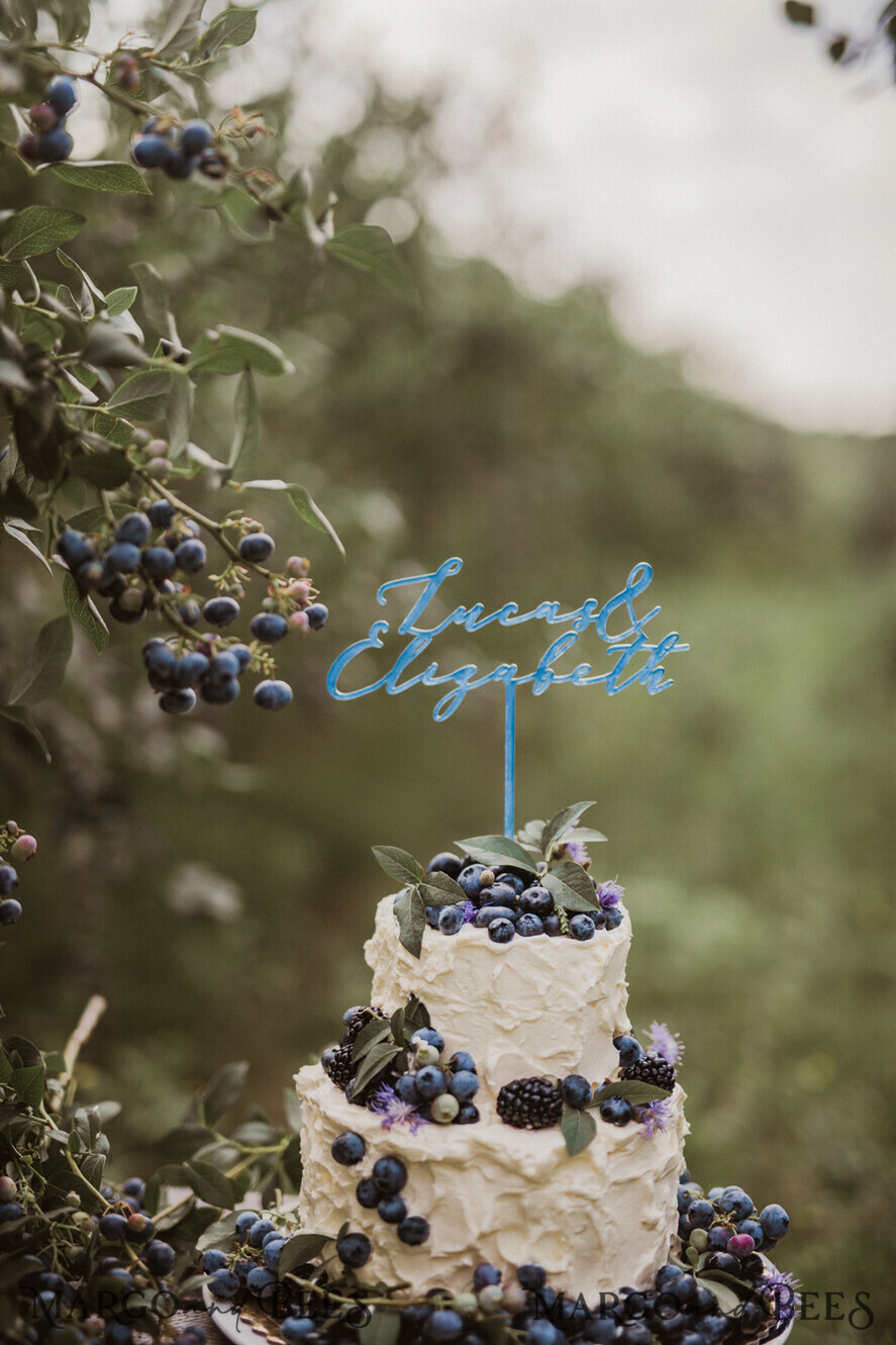 CAKE TOPPER Acrylic wedding cake topper, lasercut cake topper