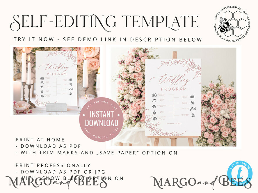 TEMPLETT wedding signs Boho Blush Pink Wedding Order of Events Timeline Program Sign Template, Fall Wedding day, Printable Timeline, DIY Wedding Sign