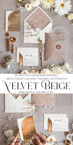 SAMPLING SERVICE samples Ivory and Beige wedding Invitation Sample, handmade sample set, Beige Velvet and Gold Foil wedding invitation, clear acryl gold invites sample set25
