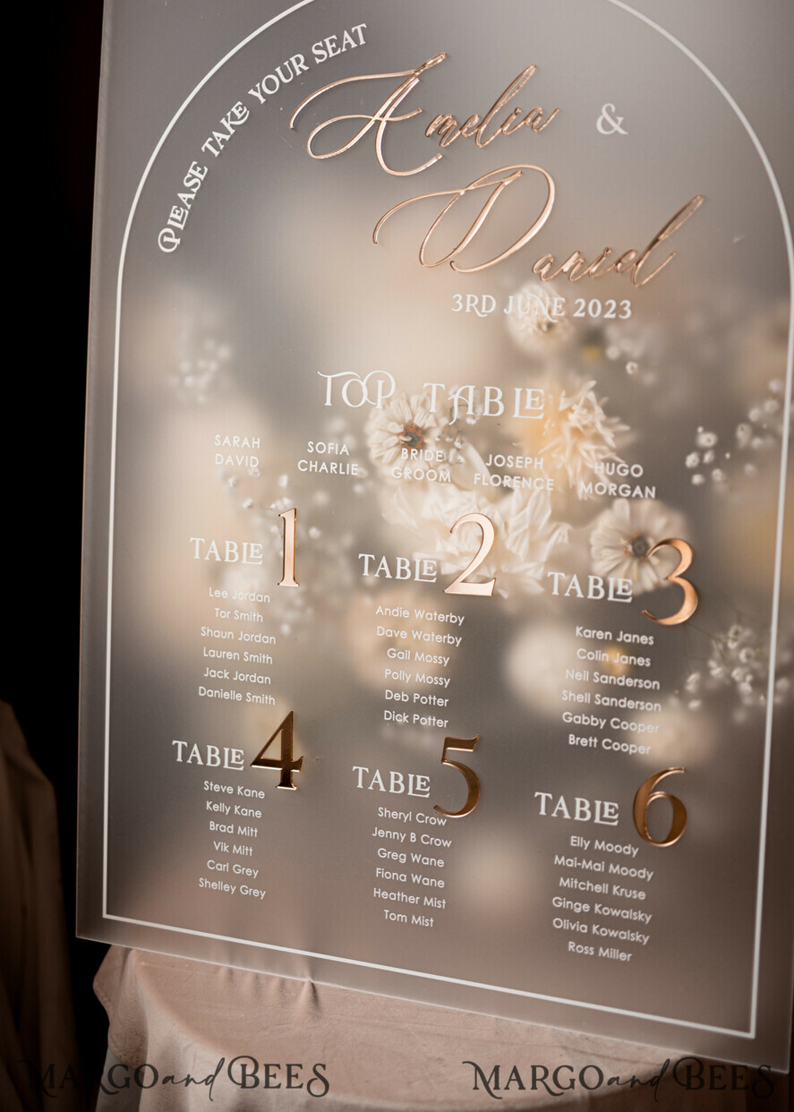 TABLE PLANS AND WEDDING WELCOME SIGNS plexi gold / velvet Elegant frozen wedding Set acrylic Find your seat , Personalized Wedding Beige Table Plan, acrylic frozen Tan transparent and Gold Modern frozen transparent Seating Chart, 3d Elegant Find Your Seat - Seating Plan