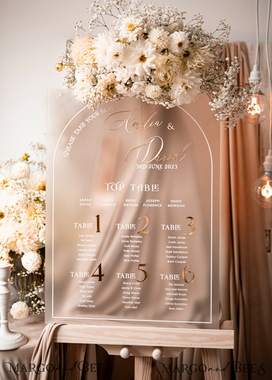 TABLE PLANS AND WEDDING WELCOME SIGNS plexi gold / velvet Elegant frozen wedding Set acrylic Find your seat , Personalized Wedding Beige Table Plan, acrylic frozen Tan transparent and Gold Modern frozen transparent Seating Chart, 3d Elegant Find Your Seat - Seating Plan