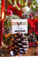 PLATZKARTEN / TISCHKARTEN  
 Rustikale Eco-Hochzeitsplatzkarten Ecru Eco Hochzeit Platzkarten, Rustikale Hochzeit Platzkarten, Birkenherz und natürliche Jutesack Hochzeit Namenskarten, Eco Rustikale Namensschilder, Bearbeitbarer Text, Rustikale Hochzeit6