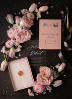 HOCHZEITS EINLADUNGEN Elegante Einladungen Klassische Karten Romantische Blush Pink Box Hochzeitseinladungen Suite, Elegante erschwingliche Hochzeitseinladungen, Luxus Acryl Plexi Hochzeitseinladungen, Glamour Vellum Hochzeitseinladungen15