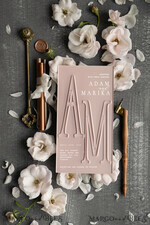 WEDDING INVITATIONS Elegant Invites Classic Cards Luxury Frozen Acrylic Plexi Wedding Invitations With Engraved Initials, Romantic Blush Pink Wedding Invites, Minimalistic Wedding Invitation Suite, Elegant Vellum Wedding Cards7