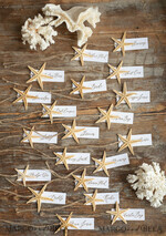 PLACE CARDS / TABLE CARDS Beach/marine/ Destionation Wedding Theme Elegant Marine Wedding Place Cards with a Starfish and Burlap Twine, Minimalistic Name Tags For Your Wedding Tables, Romantic Wedding Place Tags, Editable Text 3