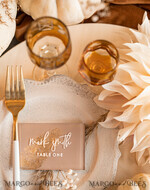 PLACE CARDS / TABLE CARDS Acrylic Gold Clear / Wood 3D Acrylic Beige place cards with stand, Clear Acrylic and gold place cards, Nude Taupe Gold Plexi place cards, Tan Luxury Wedding Table Decor place cards, Earthy Wedding Signage Golden mirror place cards15