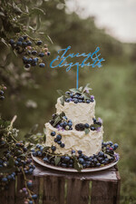 CAKE TOPPER Acrylic wedding cake topper, lasercut cake topper6
