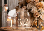 TABLE DECOR SIGNS Acrylic table decor Numbers Acrylic Arch Ombre Beige Table Numbers, Clear Acrylic and gold table numbers, Nude Taupe Gold Plexi Table Numbers, Tan Luxury Wedding Table Decor, Earthy Wedding Sign29