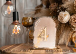 TISCHDEKORATIONSCHILDER   Acryl Tischdekoration Zahlen Acrylbogen Ombre Beige Tischnummern, klare Acryl- und Goldtischnummern, Nude Taupe Gold Plexi Tischnummern, tanfarbene Luxus Hochzeits Tischdekoration, erdige Hochzeitsschild.15