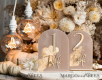 TISCHDEKORATIONSCHILDER   Acryl Tischdekoration Zahlen Acrylbogen Beige Tischnummern, klare Acryl- und goldene Tischnummern, Nude Taupe Gold Plexi Tischnummern, Tan Luxus Hochzeits Tischdekoration, Erdige Hochzeitsbeschilderung.34