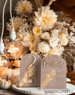 TISCHDEKORATIONSCHILDER   Acryl Tischdekoration Zahlen Acrylbogen Beige Tischnummern, klare Acryl- und goldene Tischnummern, Nude Taupe Gold Plexi Tischnummern, Tan Luxus Hochzeits Tischdekoration, Erdige Hochzeitsbeschilderung.34