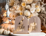 TISCHDEKORATIONSCHILDER   Acryl Tischdekoration Zahlen Acrylbogen Beige Tischnummern, klare Acryl- und goldene Tischnummern, Nude Taupe Gold Plexi Tischnummern, Tan Luxus Hochzeits Tischdekoration, Erdige Hochzeitsbeschilderung.34