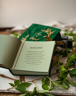 HOCHZEITS-GÄSTEBÜCHER Samtkissen Instax Gästebuch Boho Grün Pink Instax Samt Hochzeits-Gästebuch Gold, Samt Foto-Box Sofort Hochzeits-Gästebuch, Polaroid Samt Gästebuch Pink Foto-Box Goldene Hochzeit17