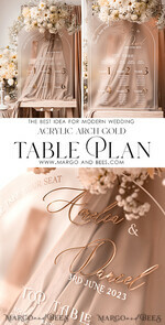TABLE PLANS AND WEDDING WELCOME SIGNS plexi gold / velvet Elegant frozen wedding Set acrylic Find your seat , Personalized Wedding Beige Table Plan, acrylic frozen Tan transparent and Gold Modern frozen transparent Seating Chart, 3d Elegant Find Your Seat - Seating Plan18