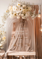 TABLE PLANS AND WEDDING WELCOME SIGNS plexi gold / velvet Elegant frozen wedding Set acrylic Find your seat , Personalized Wedding Beige Table Plan, acrylic frozen Tan transparent and Gold Modern frozen transparent Seating Chart, 3d Elegant Find Your Seat - Seating Plan18