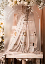 TABLE PLANS AND WEDDING WELCOME SIGNS plexi gold / velvet Elegant frozen wedding Set acrylic Find your seat , Personalized Wedding Beige Table Plan, acrylic frozen Tan transparent and Gold Modern frozen transparent Seating Chart, 3d Elegant Find Your Seat - Seating Plan18