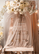 TABLE PLANS AND WEDDING WELCOME SIGNS plexi gold / velvet Elegant frozen wedding Set acrylic Find your seat , Personalized Wedding Beige Table Plan, acrylic frozen Tan transparent and Gold Modern frozen transparent Seating Chart, 3d Elegant Find Your Seat - Seating Plan18