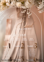 TABLE PLANS AND WEDDING WELCOME SIGNS plexi gold / velvet Elegant frozen wedding Set acrylic Find your seat , Personalized Wedding Beige Table Plan, acrylic frozen Tan transparent and Gold Modern frozen transparent Seating Chart, 3d Elegant Find Your Seat - Seating Plan18
