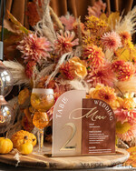 TABLE DECOR SIGNS Velvet table Numbers and Decor Acrylic Arch Table Number & wedding menu Combo, Rust & Frozen Acrylic gold Sign, Gold Plexi Table Numbers Terracotta Menu Combo Luxury Wedding Table Decor, Wedding Signage Golden mirror table numbers 11
