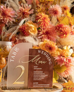 TABLE DECOR SIGNS Velvet table Numbers and Decor Acrylic Arch Table Number & wedding menu Combo, Rust & Frozen Acrylic gold Sign, Gold Plexi Table Numbers Terracotta Menu Combo Luxury Wedding Table Decor, Wedding Signage Golden mirror table numbers 11