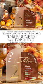 TABLE DECOR SIGNS Velvet table Numbers and Decor Acrylic Arch Table Number & wedding menu Combo, Rust & Frozen Acrylic gold Sign, Gold Plexi Table Numbers Terracotta Menu Combo Luxury Wedding Table Decor, Wedding Signage Golden mirror table numbers 11