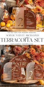 TABLE DECOR SIGNS Velvet table Numbers and Decor Acrylic Arch Table Number & wedding menu Combo, Rust & Frozen Acrylic gold Sign, Gold Plexi Table Numbers Terracotta Menu Combo Luxury Wedding Table Decor, Wedding Signage Golden mirror table numbers 11