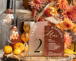 TABLE DECOR SIGNS Velvet table Numbers and Decor Acrylic Arch Table Number & wedding menu Combo, Rust & Frozen Acrylic gold Sign, Gold Plexi Table Numbers Terracotta Menu Combo Luxury Wedding Table Decor, Wedding Signage Golden mirror table numbers 11